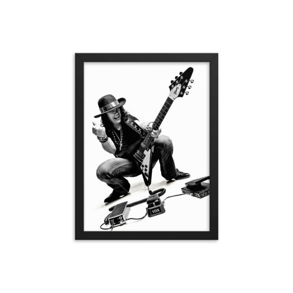 Gomes Portrait 12 x 16 Framed Poster Sale