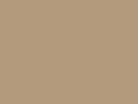 Superior Beige 107 x12 Yds. Seamless Background Paper (25) Online Sale